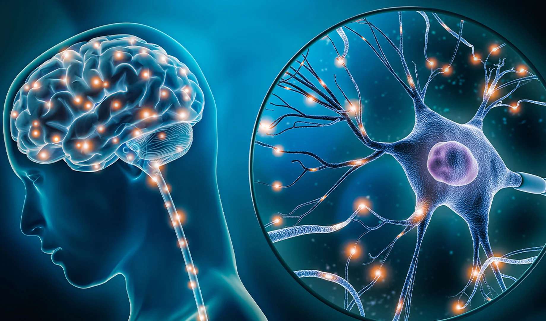 Neurodegenerative diseases and Normal controls biospecimens collection for in vitro research- CSF and PBMC